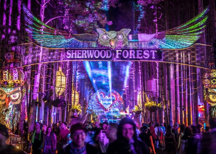 Electric Forest Organizers Approve 2021 Summer Festival Dates img