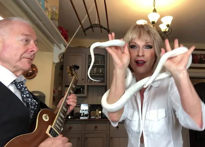 Robert Fripp and Toyah Willcox joined by snake for Foo Fighters cover img