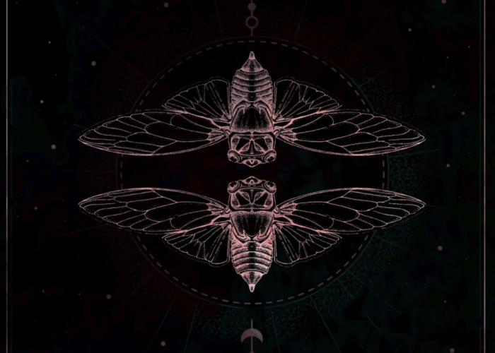 Drishti Beats Joins Forces with ETHNO for ‘Gemini Eyes’ img
