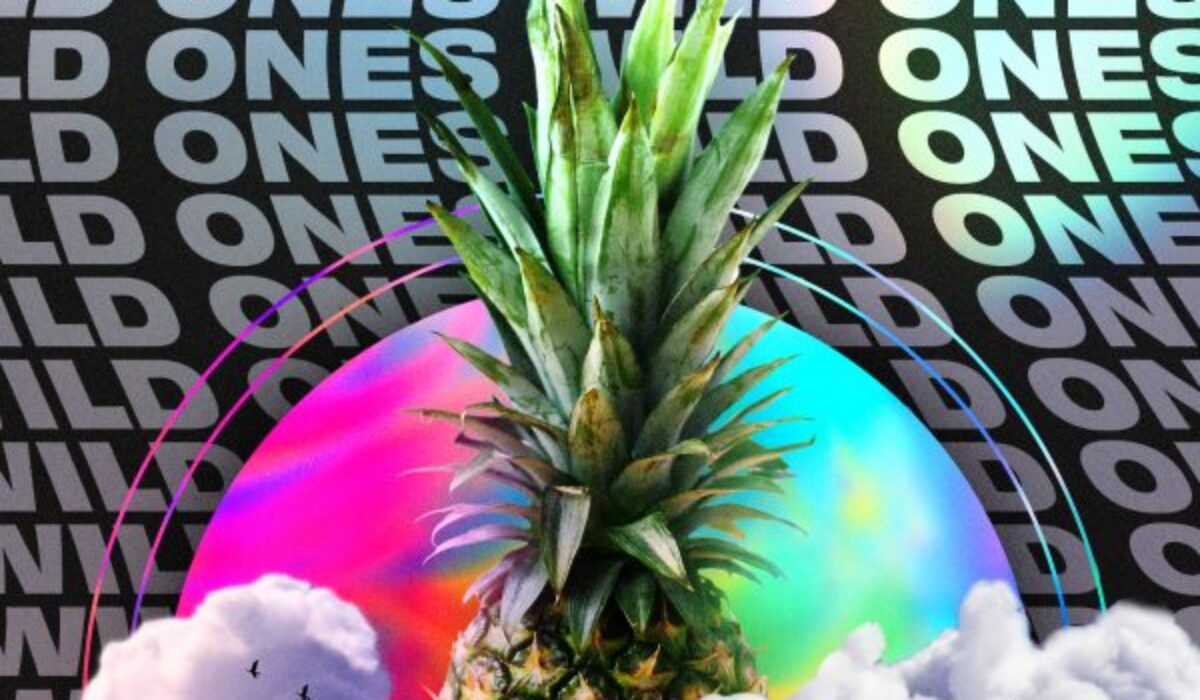 Bougenvilla & TMW – ‘Wild Ones’ img