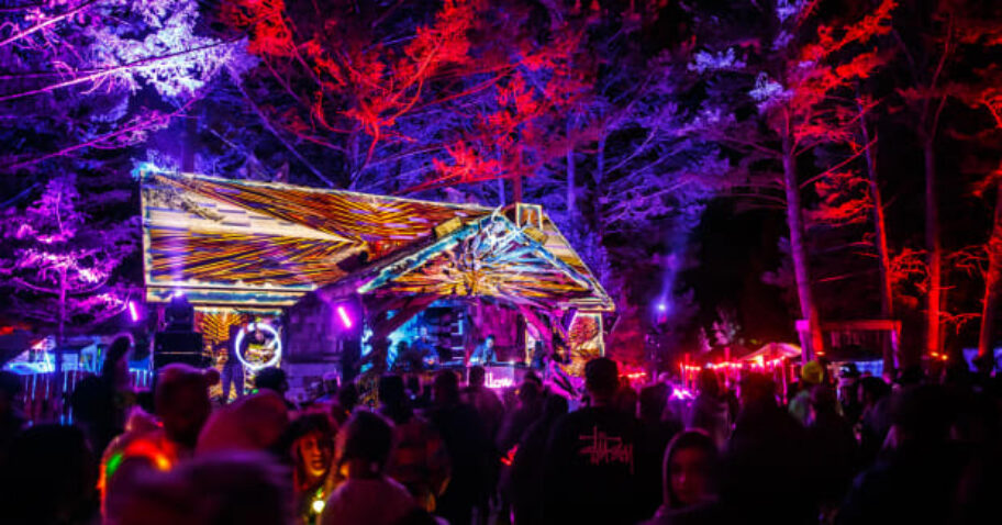 An Insider’s Information to Depraved Woods Music Pageant 2022 – EDM.com img