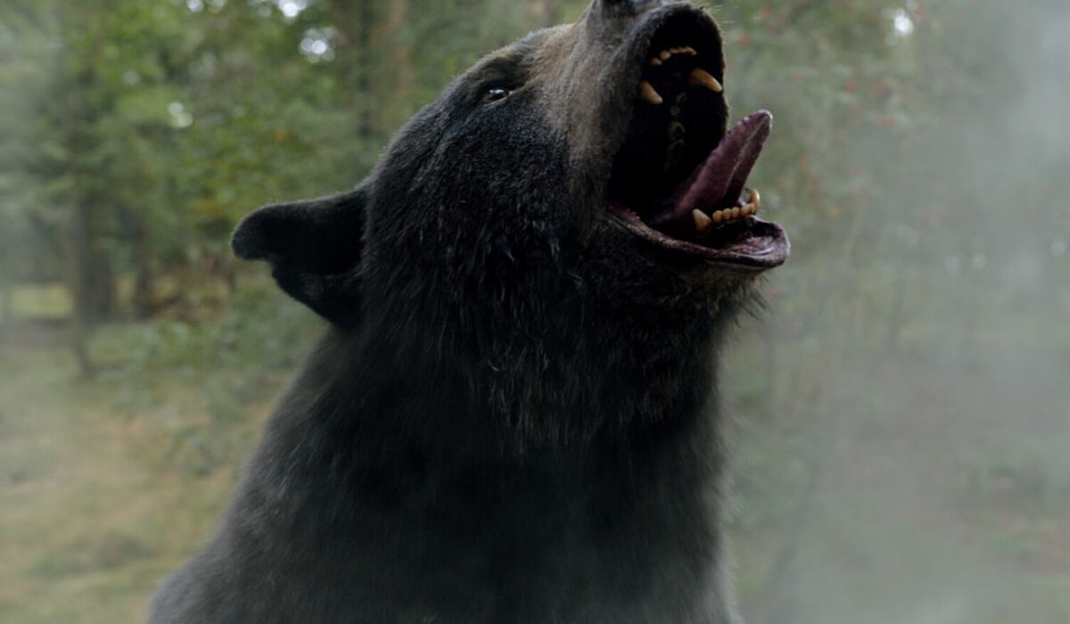 Bump to This Frenzied Bass House Track Inspired by "Cocaine Bear" img