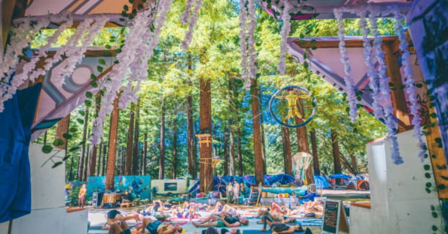 Joint Decision: Northern Nights Is the First Music Festival to Create Its Own In-House Cannabis Strain img
