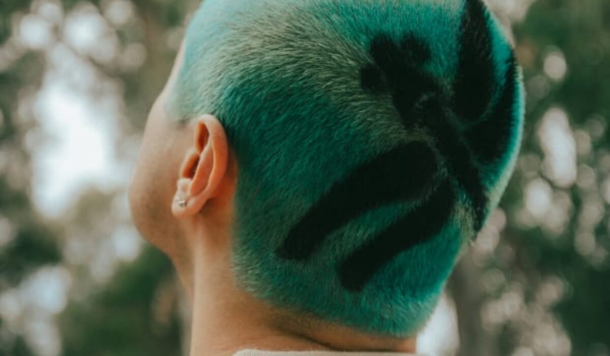 Rome In Silver Embraces Personal Transformation in Stunning Debut Album, "Dragonfly" img