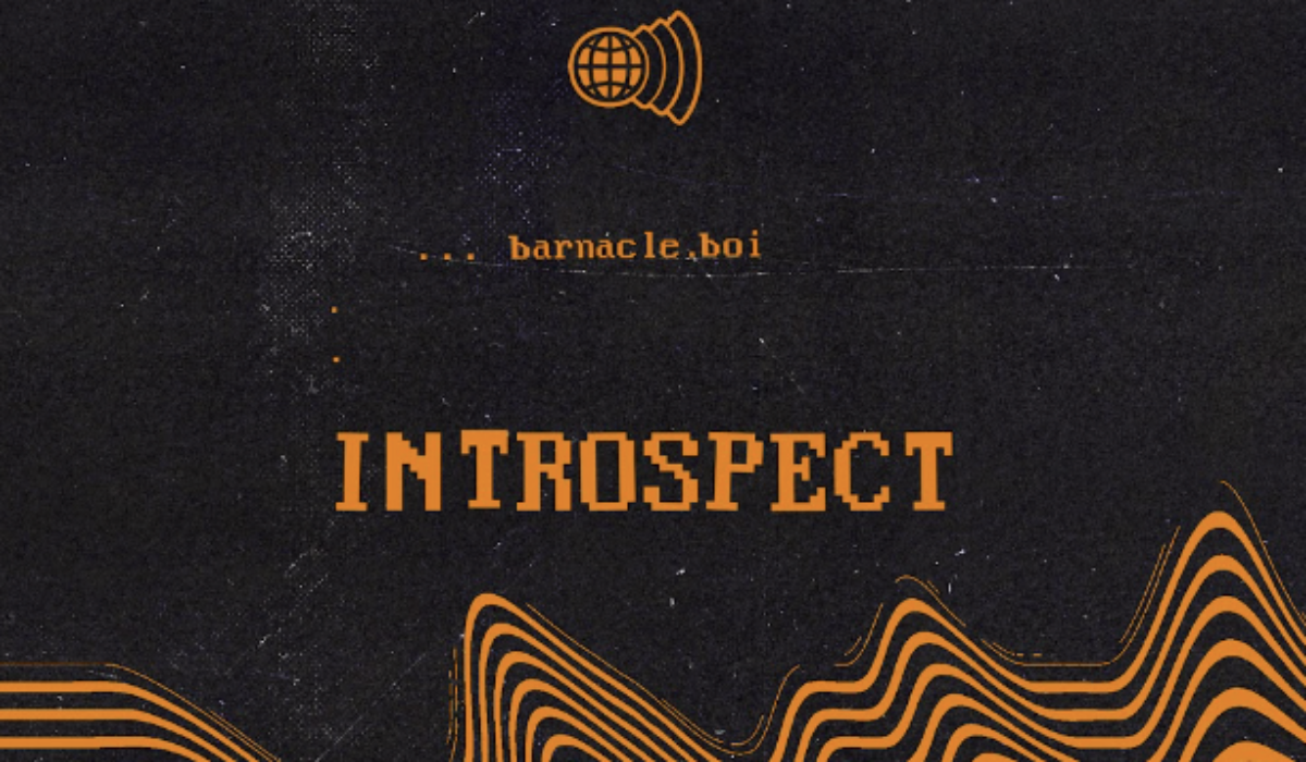 barnacle boi Releases Thumping ‘Introspect’ EP img